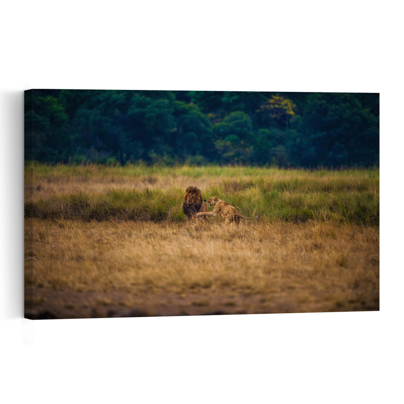 Boss Of The House! Contemporary Lion Nature Wildlife Wall Art Print 1 Piece Wrapped Canvas Wall Art, 30.48cm H x 45.72cm W