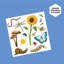 Ensemble de culture de terrarium bricolage