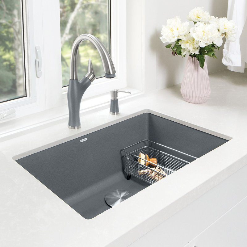 Precis 30" L x 18" W Undermount Kitchen Sink with Faucet & Sink Cleaner, Coal Black