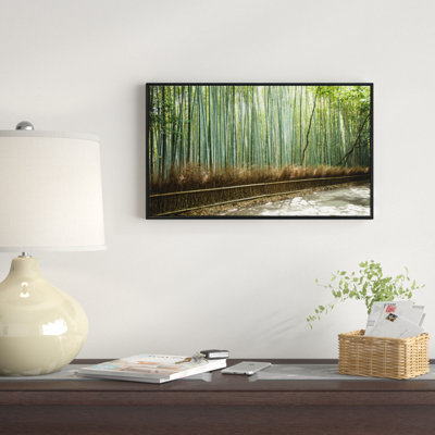 " Beautiful View Of Bamboo Forest "