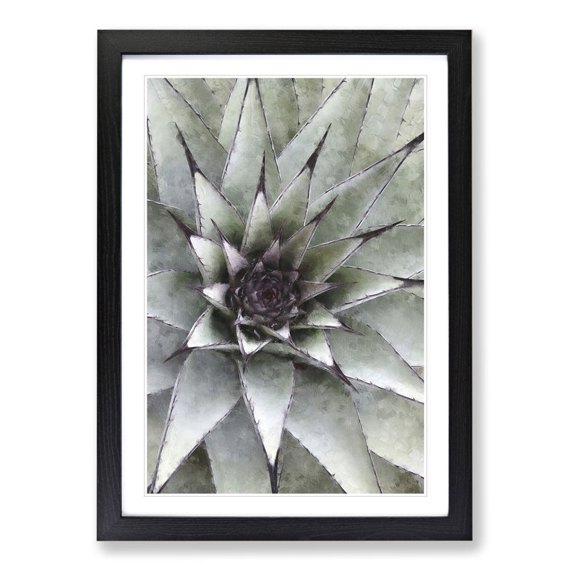 The Succulent Plant - Picture Frame Painting, 36cm H x 27cm W x 2cm D, Black Framed