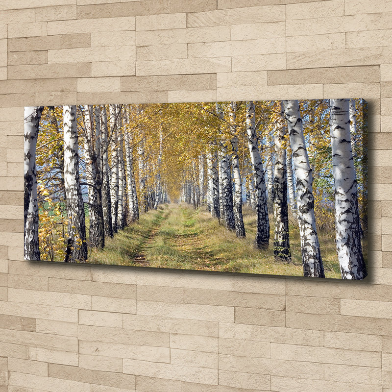 Birches In Autumn - Wrapped Canvas Print, 50cm H x 125cm W x 2cm D, Canvas