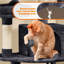158cm  Cat Tree-704301797