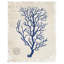 « marine blue corail », reproduction sur toile tendue-632996837