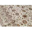 Aberdeen Oriental Area Rug