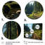 «USA Siuslaw National Forest Oregon», reproduction sur toile-1050281998-1050281985
