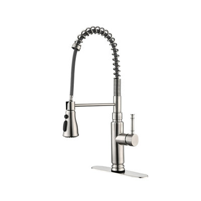 Casa Eclat Pull Down Kitchen Faucet