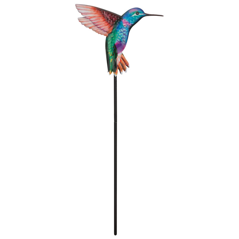 Ensemble de 2 plantes à colibri