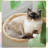 43.4"H 3 Storey Cat Tree with Cat Condo