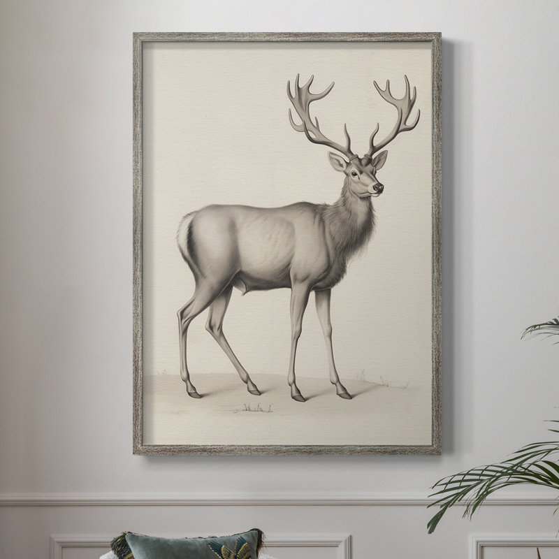 «Vintage Animal Print III», reproduction encadrée - bois massif, H 15 po x l 12 po