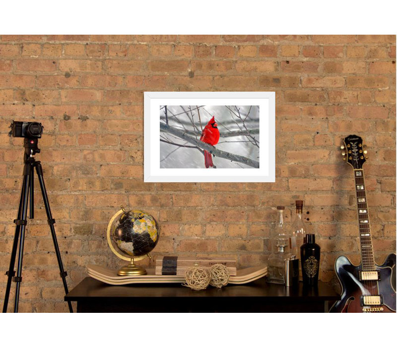 «Cardinal Bird», impression, H 24 po x l 32 po x P 1 po, Cadre blanc
