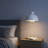 Adjustable Height Metal Body Pendant Lighting with Glass Globe Shade