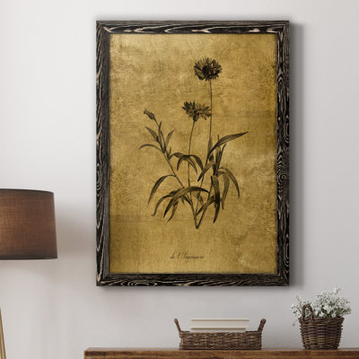 " Gold Sketch Botanical I " Painting Print