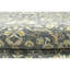 Wool Oriental Area Rug in Light Green/Beige/Gray-980815097