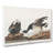 Brant Geese by John Audubon - Wrapped Canvas Painting-55361844