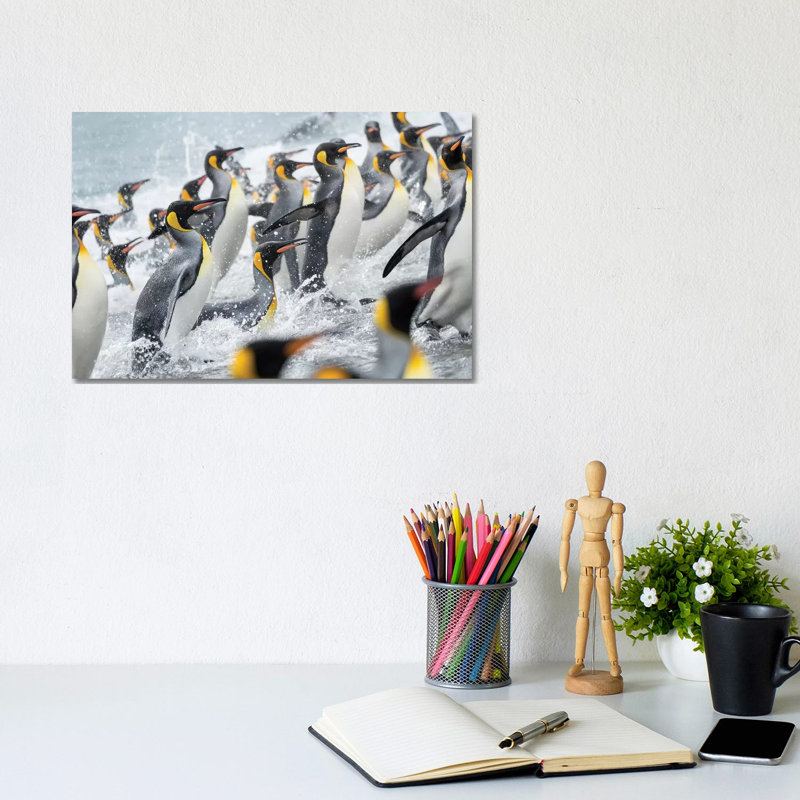 King Penguin Rookery on Salisbury Plain in the Bay of Isles. South Georgia Island 1 Piece Wrapped Canvas Wall Art