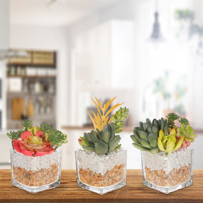 4.25'' Faux Succulent in Glass Planter