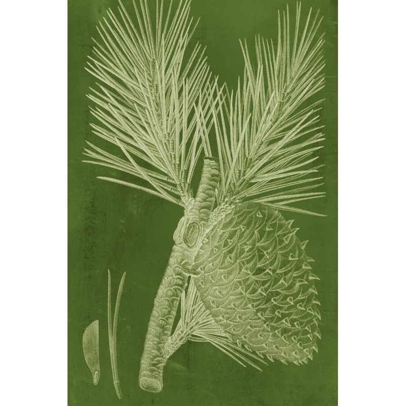 Modern Pine III by Vision Studio - Wrapped Canvas Art Prints, 46cm H x 30cm W x 3.8cm D
