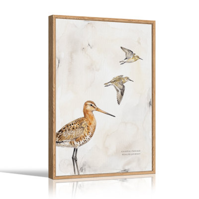 Brown Shorebirds And Flying Birds Watercolor Canvas Wall Art