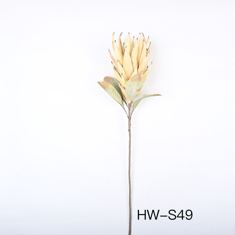 Protea Cynaroides, arrangement floral, longue tige, Beige
