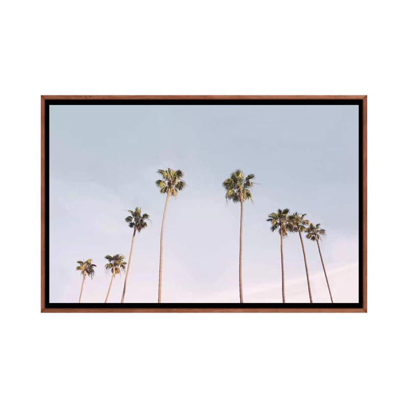 Photographie « california trees », H 26 po x l 40 po x P 1,5 po, Toile avec cadre en bois classique