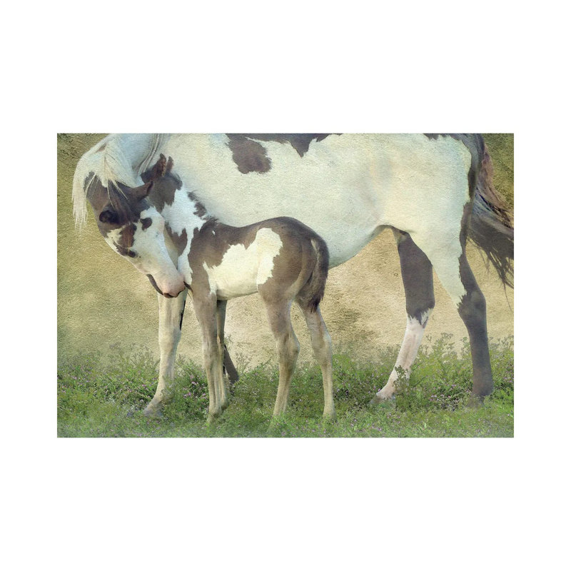 Wild & Free III by Steve Hunziker - Gallery-Wrapped Canvas Giclée on Canvas, Wrapped Canvas, 66.04 cm H x 45.72 cm W