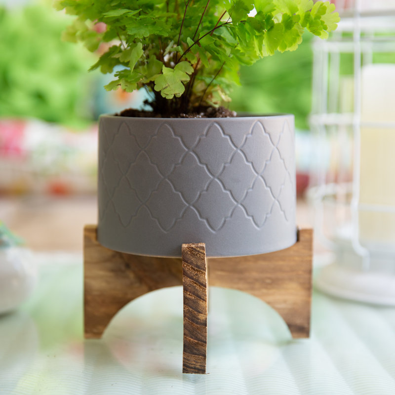 Bohn Ceramic Pot Planter