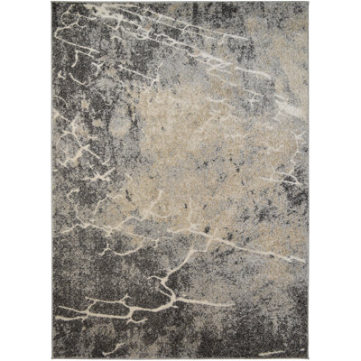 Lavanna Abstract Indoor Rug