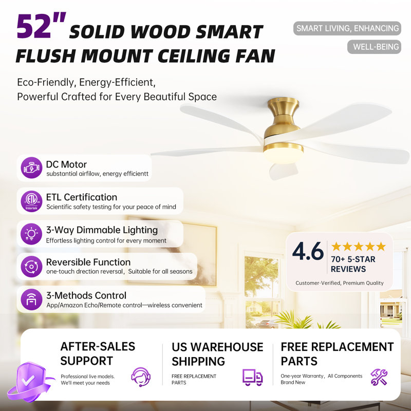 Whisper 52" 5-Solid Blade Classic Flush Mount Ceiling Fan with LED Light Kit and Remote Control，Gold&White, Gold