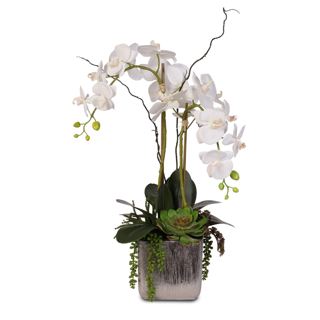 Silk Orchid Arrangement in Pot Orren Ellis