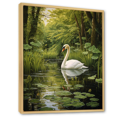 " Swans Refuge By The Lake "