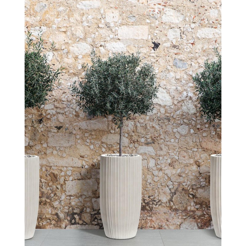 ZELKOVA Handmade Ceramic Pot Planter