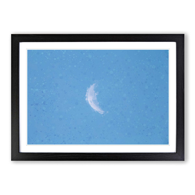 Moon in Morning Light - Picture Frame Graphic Art Print, 27cm H x 36cm W x 2cm D, Black Framed