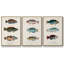 Antique Fish Trio I, ensemble de 3 toiles encadrées sur toile-97760248-97760254