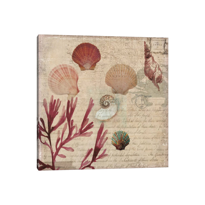 Coral III by Aimee Wilson - Wrapped Canvas Print, 93.98 cm H x 93.98 cm W x 3.175 cm D