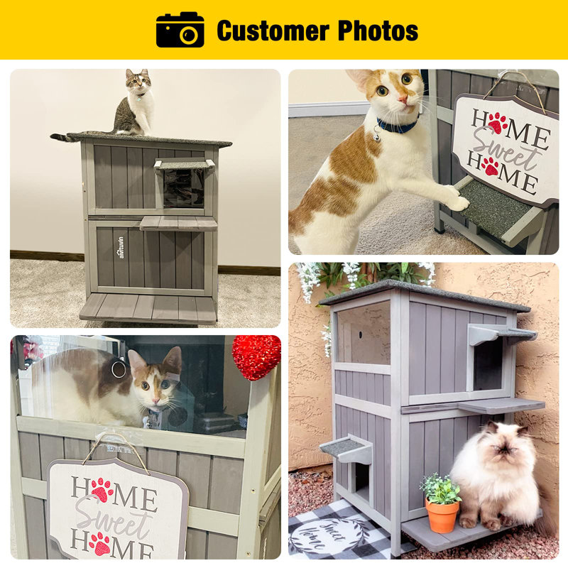 Portable Cat House