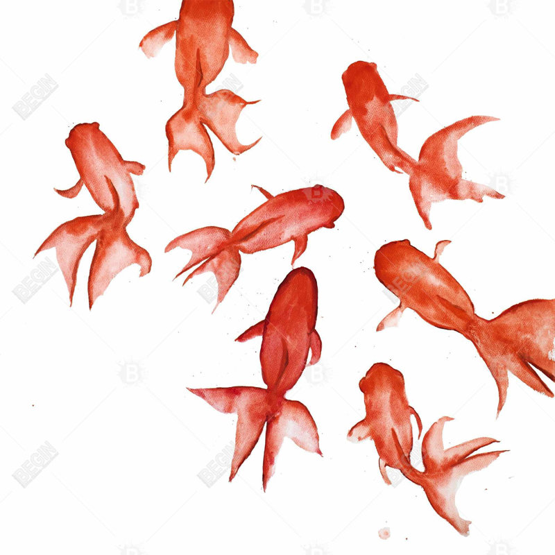 "Red Fishes", art mural animaux rouges aquatiques