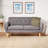 Modern Sofa SOFA