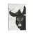 Toile tendue