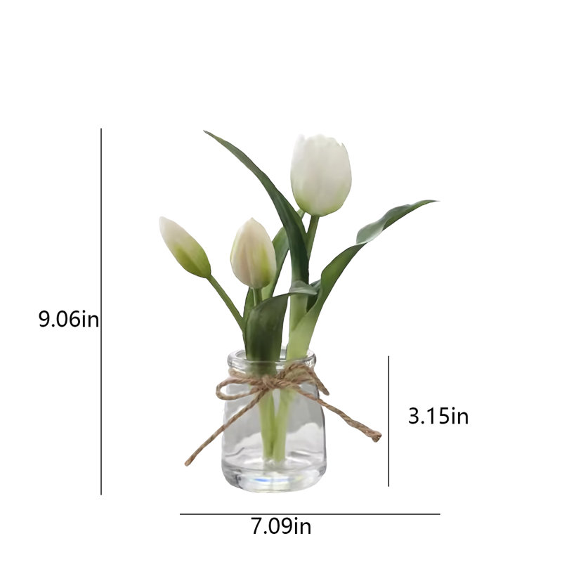 Sapin de 9,06 po, Blanc