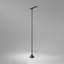 Birdie LED Bollard Light