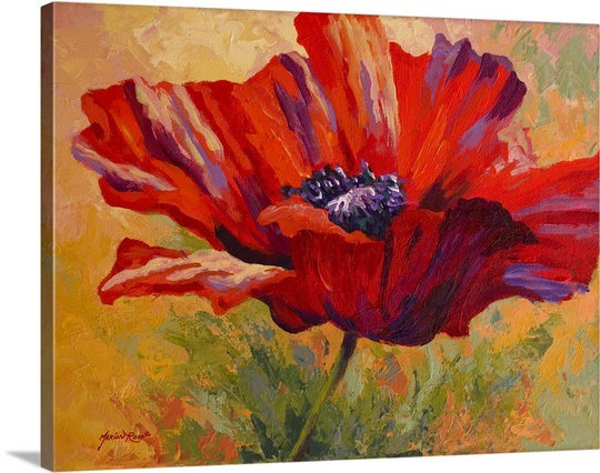 Poppy II by Marion Rose Painting Print on Wrapped Canvas Great Big Canvas 