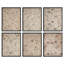Ensemble de 6 pièces d'art mural botanique floral rétro-112375085-112375094