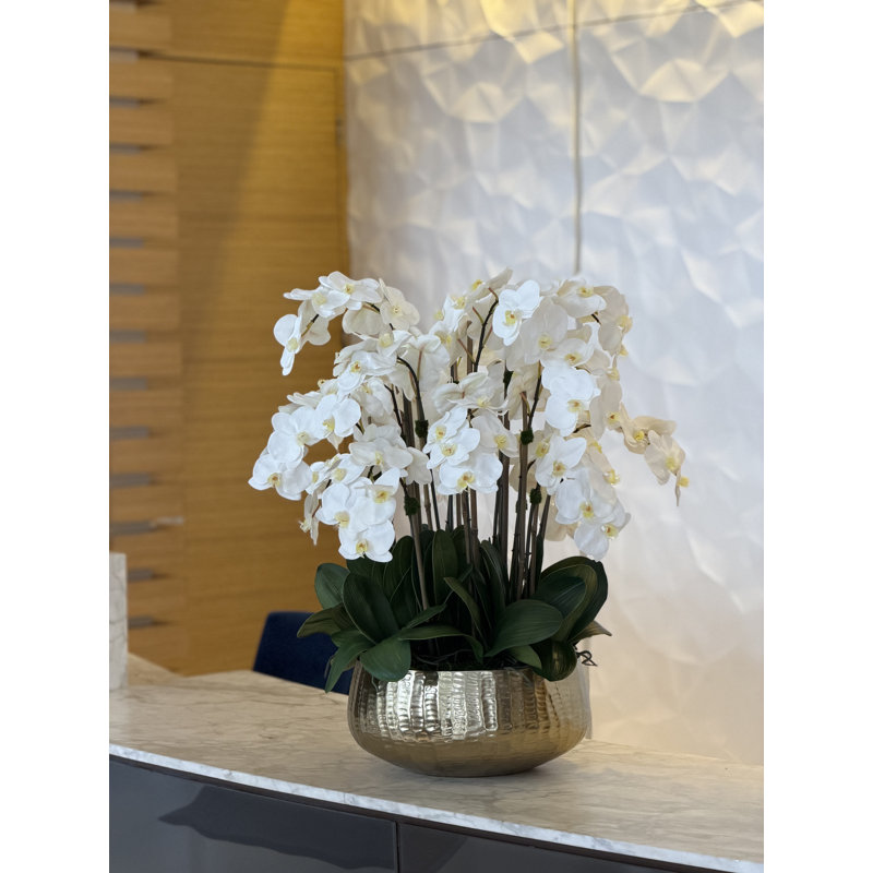 Pot à tiges d'orchidée Roberi, Blanc, H 38 po x l 22 po x P 22 po