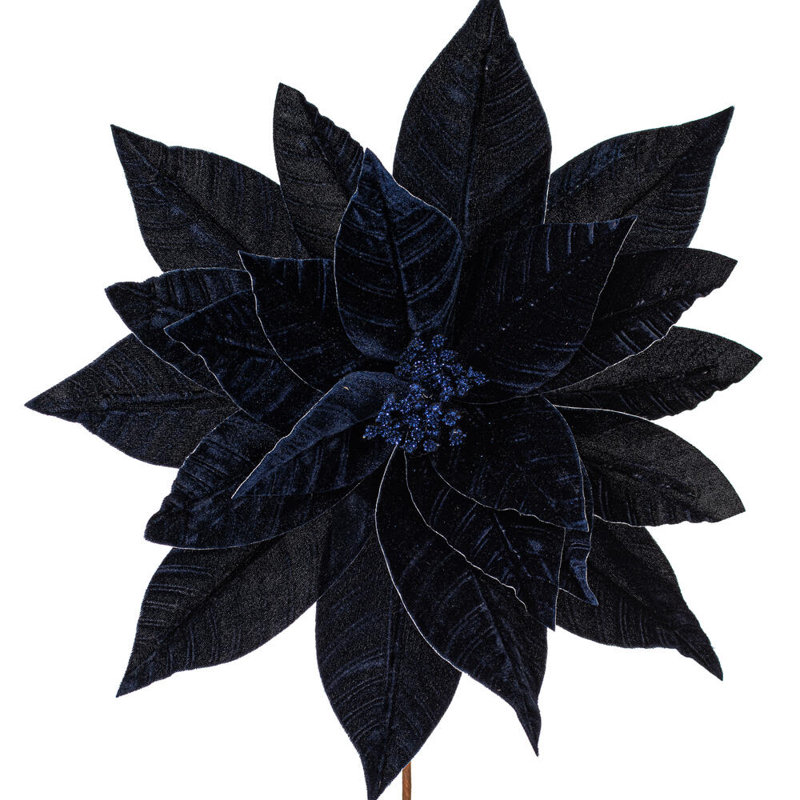Tiges de poinsettia Clementina, Bleu minuit