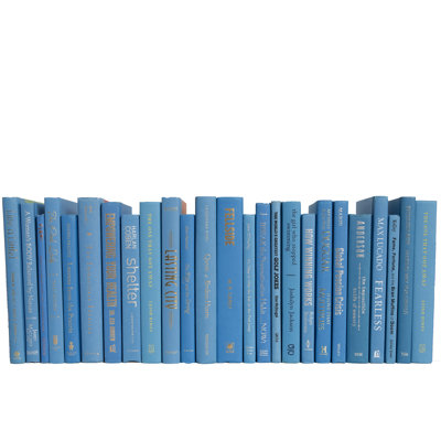 Decorative Books  Sky Books  Blue Books By The Foot