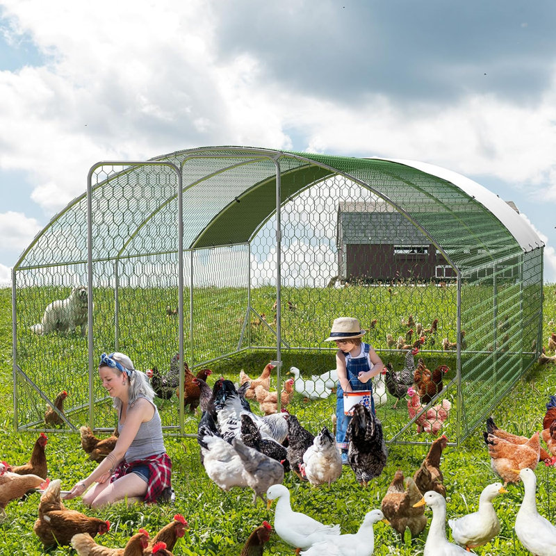 Geraud Chicken Run with Wire Mesh, 198.1cm H x 299.7cm W x 600cm D
