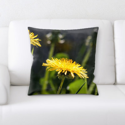 Coussin pissenlit commun