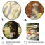 Nourriture pique-nique Tranquil Retreat I - pique-nique, art mural, impressions sur toile-91160002-91160008