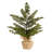 23'' Faux Pine Tree in Vase